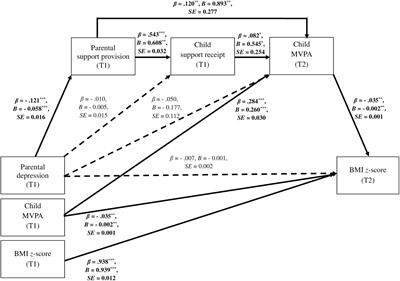 Parental Depression Predicts Child Body Mass via Parental Support Provision, Child Support Receipt, and Child Physical Activity: Findings From Parent/Caregiver–Child Dyads